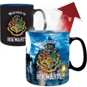 Harry Potter Mugg - Letter - Heat Change Mug - för  flerfärgad