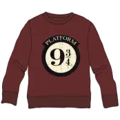 Harry Potter Platform 9 3/4 child sweatshirt