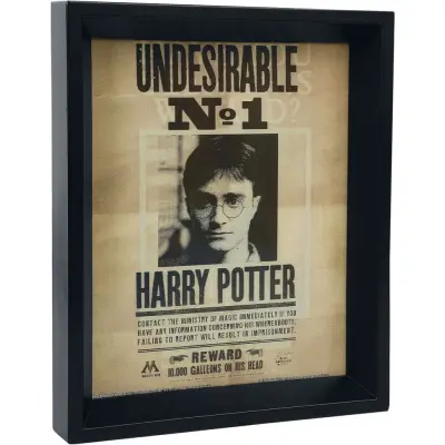 Harry Potter Poster - Potter/Sirius 3D-bild - för  flerfärgad