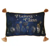 Harry Potter Potions Class velvet cushion