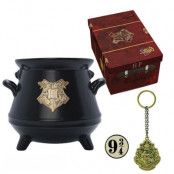 Harry Potter Premium 3D Mugg, Nyckelring & Pin