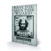 Harry Potter - Printing On Wood 40X59 - Sirius Wanted