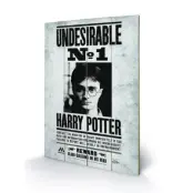 Harry Potter - Printing On Wood 40X59 - Undesirable Nr 1