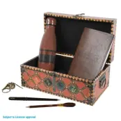 Harry Potter Quidditch trunk