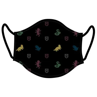 Harry Potter reusable adult face mask