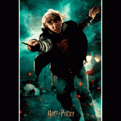 Harry Potter Ron Weasley Prime 3D puzzle 300pcs