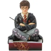 Harry Potter Samlingsfigurer - The Chosen One - Harry Potter - för flerfärgad