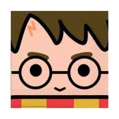 Harry Potter Servett 16-pack