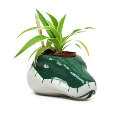 Harry Potter - Slytherin - Plant Pot