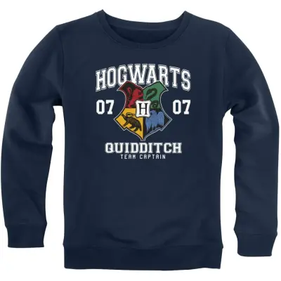 Harry Potter Sweatshirt - Barn - Hogwarts - 104 116 - för barn - blå