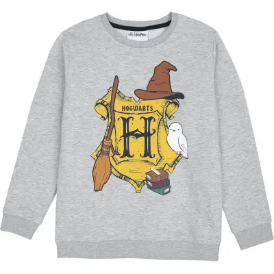 Harry Potter Sweatshirt - Barn - Hogwarts - 122/128 - för barn - grå