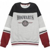 Harry Potter Sweatshirt - Barn - Hogwarts - England Made - 140 176 - för barn - flerfärgad