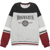 Harry Potter Sweatshirt - Barn - Hogwarts - England Made - 164 176 - för barn - flerfärgad