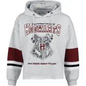 Harry Potter Sweatshirt - Hogwarts Crest - S XXL - för Dam - grå