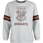 Harry Potter Sweatshirt - Waiting For My Letter From Hogwarts - S XXL - för Dam - grå