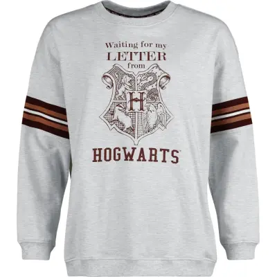 Harry Potter Sweatshirt - Waiting For My Letter From Hogwarts - S XXL - för Dam - grå