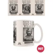 Harry Potter Wanted Sirius Black heat change Mug