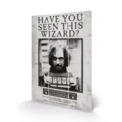 Harry Potter - Wood Print 20X29.5 - Sirius Wanted