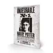 Harry Potter - Wood Print 20X29.5 - Undesirable No1