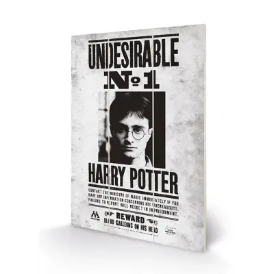 Harry Potter - Wood Print 20X29.5 - Undesirable No1