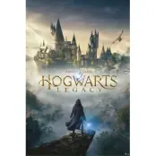 Hogwarts Legacy Poster Pack Wizarding World Universe 61x91cm