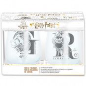Kristallglas Harry Potter 2-pack