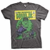 Distressed I Am The Hulk T-Shirt Grå