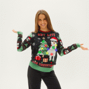 Get Lit Llama Christmas Sweater - Dam