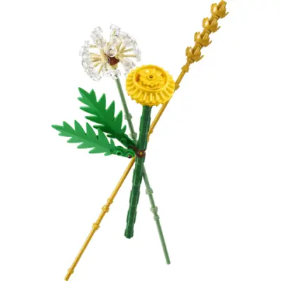 Lego Botanicals Ängsblommor 30701