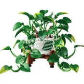 LEGO Botanicals Hängande gullranka 11512