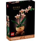 LEGO Botanicals Miniorkidé 10343