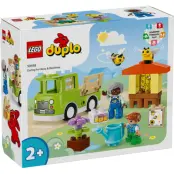 LEGO® DUPLO Sköta om bin och bikupor 10419 - LEGO -  Leksaksaffären