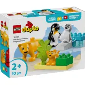 LEGO DUPLO Vilda djurfamiljer: Pingviner och lejon 10442