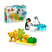 LEGO DUPLO: Wild Animal Families: Penguins & Lions (10442)