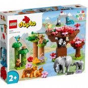 LEGO Duplo - Wild Animals of Asia