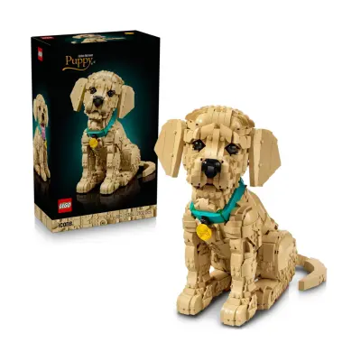 LEGO Icons: Golden Retriever Puppy (11384)