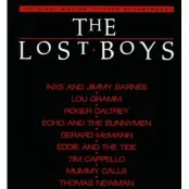 V.A. CD - Lost Boys - för