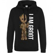 Guardians Of The Galaxy - Marvel Luvtröja - I Am Groot - Profile - S XXL - för Herr - svart