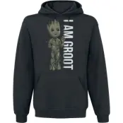 Guardians Of The Galaxy - Marvel Luvtröja - I Am Groot - Profile - L XXL - för Herr - svart