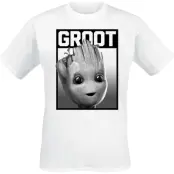 Guardians Of The Galaxy - Marvel T-shirt - Groot - Square - S 5XL - för Herr - vit