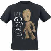 Guardians Of The Galaxy - Marvel T-shirt - I Am Groot - S M - för Herr - svart