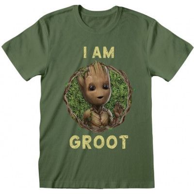 Guardians Of The Galaxy - Marvel T-shirt - I Am Groot - Seventies Style - S XL - för Herr - oliv