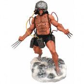 Marvel Gallery - Weapon X