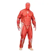 Anatomi Maskeraddräkt - XX-Large