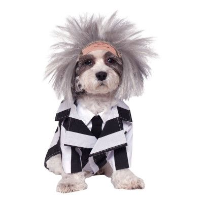 Beetlejuice Hund Maskeraddräkt - Large