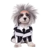 Beetlejuice Hund Maskeraddräkt - X-Large