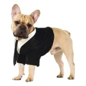 Brudgum Maskeraddräkt för Hund - Medium