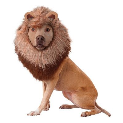 Djungelns Konung Hund Maskeraddräkt - Small