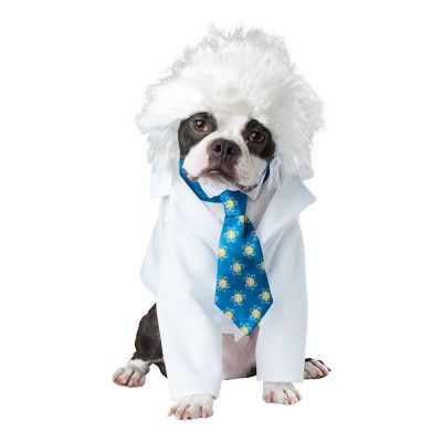 Einstein Hund Maskeraddräkt - X-Small