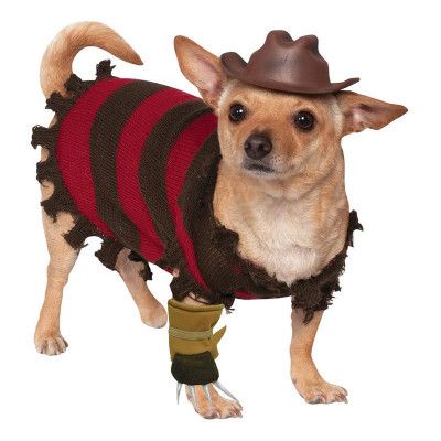 Freddy Kreuger Hund Maskeraddräkt - Medium